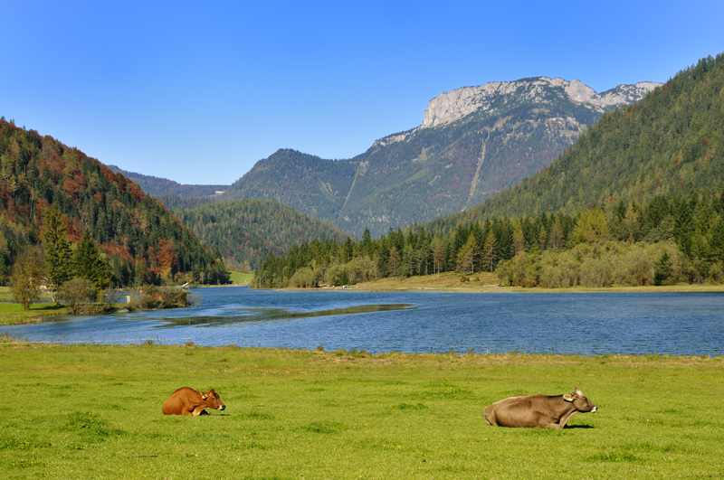 Lake Piller in Tyrol Lake Piller in Tyrol